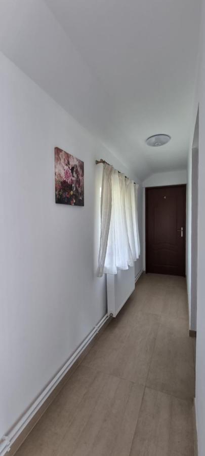 Cusali Pensiune Topolovatu Mare Zewnętrze zdjęcie